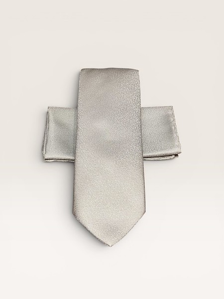 Silver metallic tie with silk pocket square — Mr. Alex Beverly Hills studio